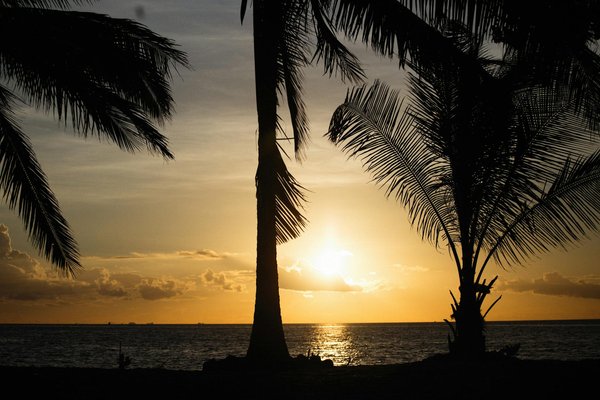 Quels sont les meilleurs conseils pour un camping en bord de rivière en été?