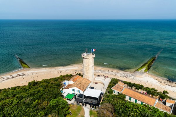 Quelles croisières offrent des excursions pour observer les baleines à bosse en Amérique du Nord?